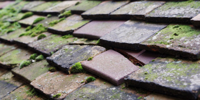 Stapleford Abbotts roof repair costs